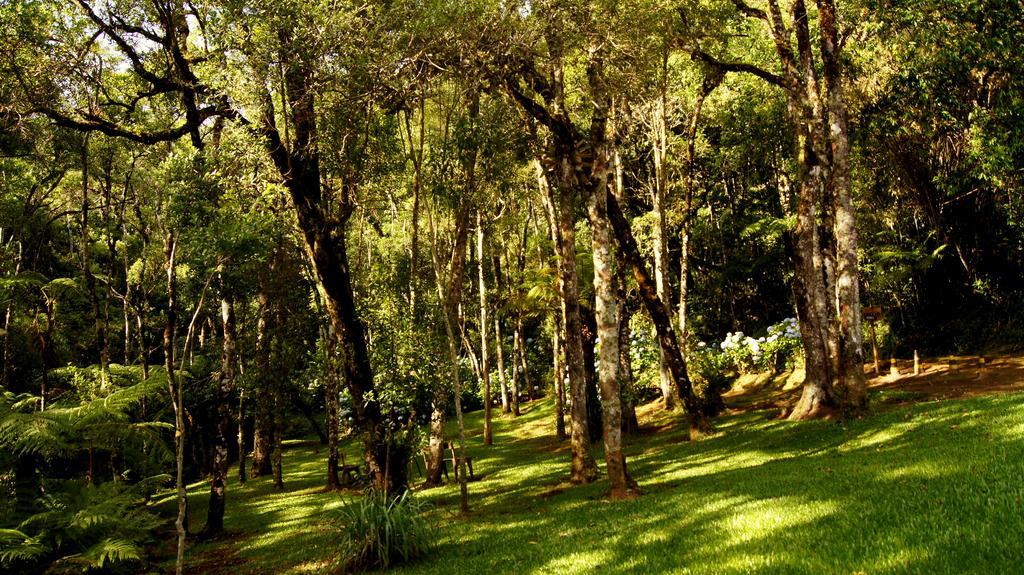 Hotel Estalagem Spiller Monte Verde  Zewnętrze zdjęcie